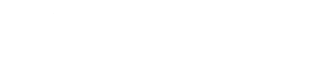 Tlatoani Agencia de Marketing Digital